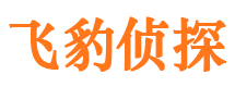 凤台侦探公司